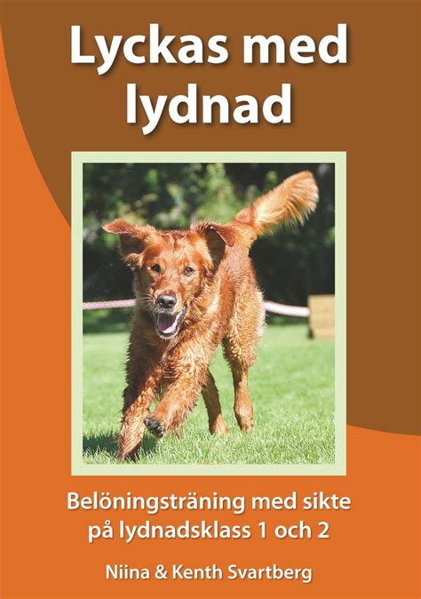 Lyckas med